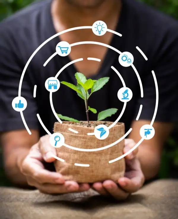 itdm-research-areas-sustainable-marketing-and-society